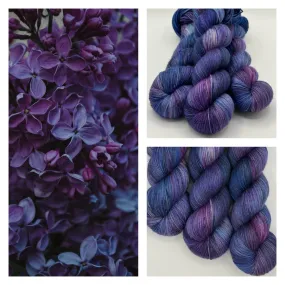 Lilac Lullaby