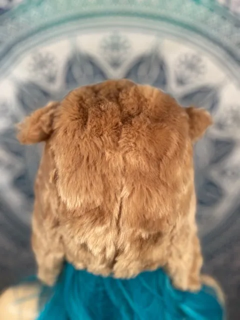 Tiedye Critter Hat #5 (Regular Size)